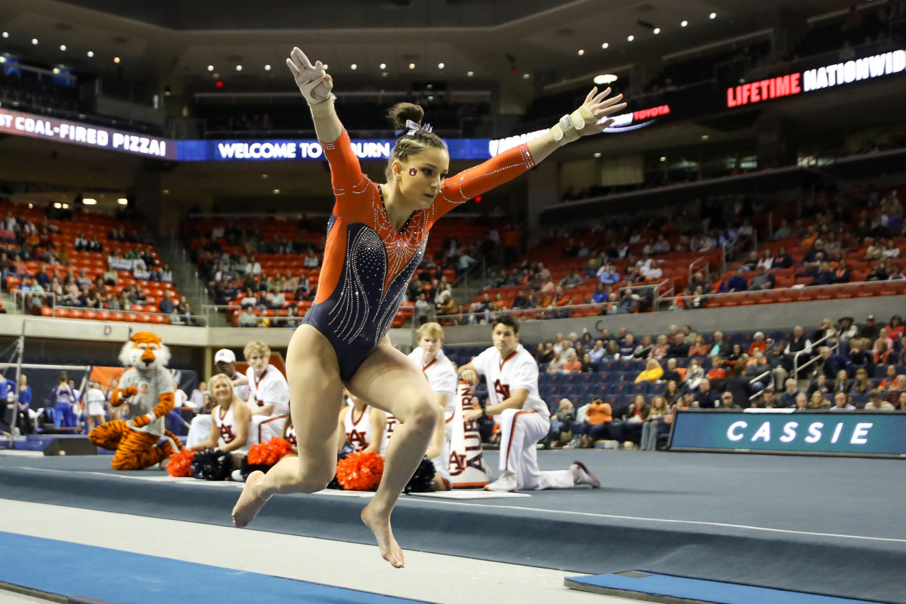 Auburn vs. Kentucky gymnastics